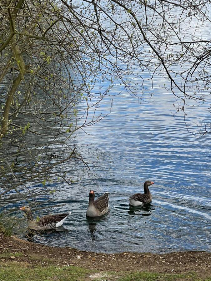 ホテル Sunscape Breaks At Tattershall Lakes エクステリア 写真