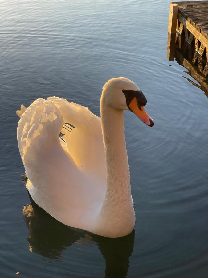 ホテル Sunscape Breaks At Tattershall Lakes エクステリア 写真